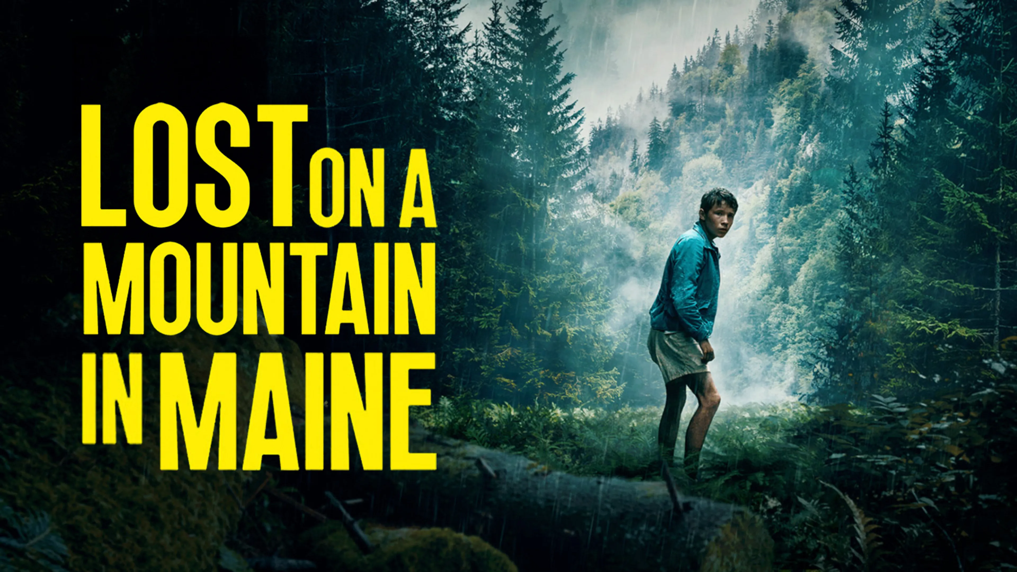 Lost on a Mountain in Maine poster